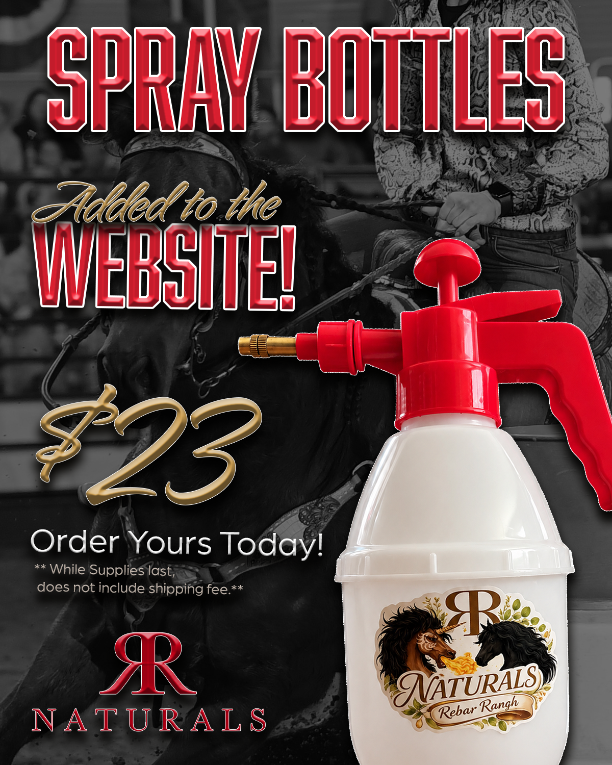 Graphic Flyers