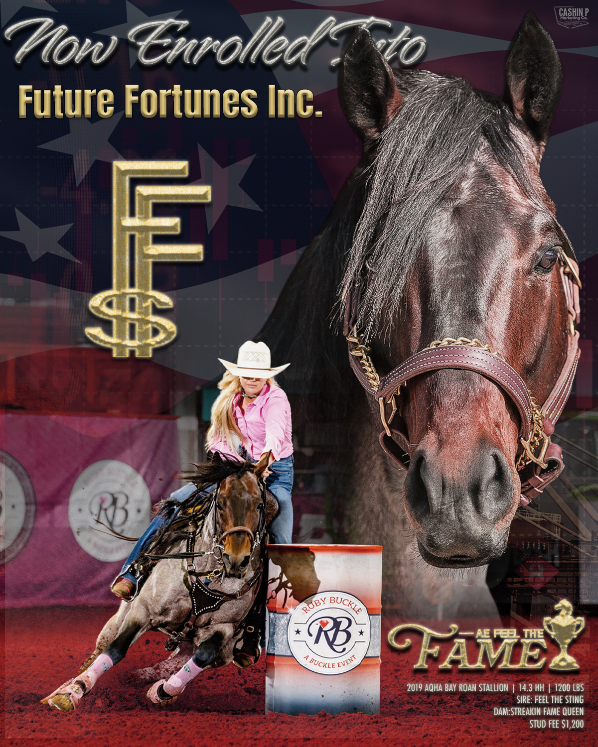 Stallion Flyer + Logo
